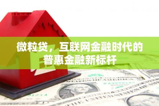 鼎城微粒贷，互联网金融时代的普惠金融新标杆