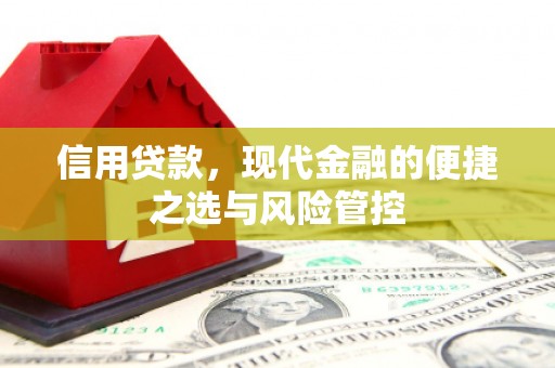鼎城信用贷款，现代金融的便捷之选与风险管控