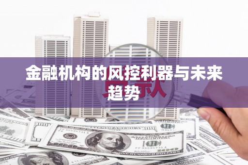 鼎城金融机构的风控利器与未来趋势