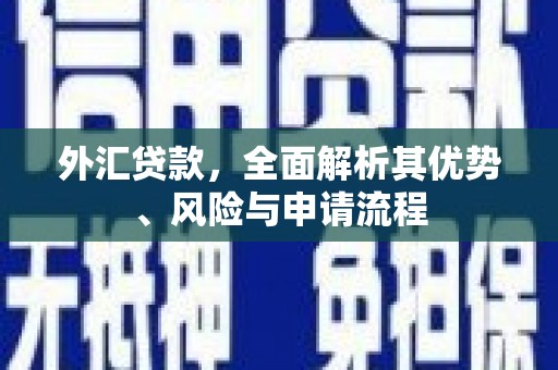 鼎城外汇贷款，全面解析其优势、风险与申请流程