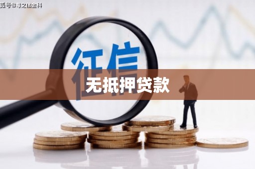 鼎城无抵押贷款