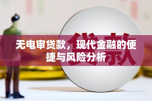 鼎城无电审贷款，现代金融的便捷与风险分析