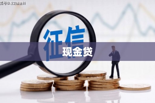 鼎城现金贷