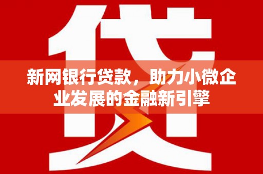 鼎城新网银行贷款，助力小微企业发展的金融新引擎