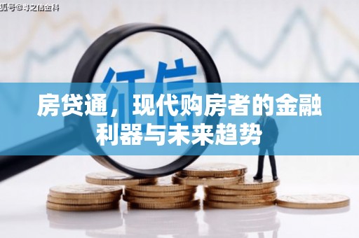 鼎城房贷通，现代购房者的金融利器与未来趋势