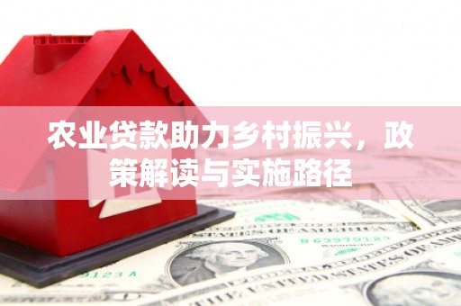 鼎城农业贷款助力乡村振兴，政策解读与实施路径