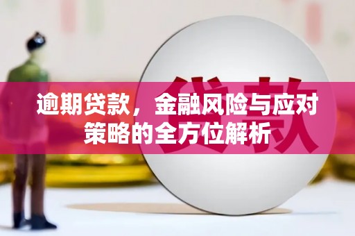 鼎城逾期贷款，金融风险与应对策略的全方位解析