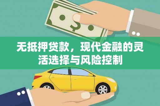 鼎城无抵押贷款，现代金融的灵活选择与风险控制