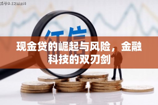 鼎城现金贷的崛起与风险，金融科技的双刃剑
