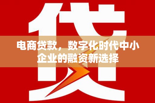 鼎城电商贷款，数字化时代中小企业的融资新选择