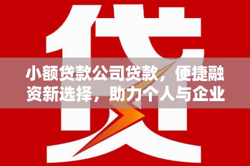 鼎城小额贷款公司贷款，便捷融资新选择，助力个人与企业成长