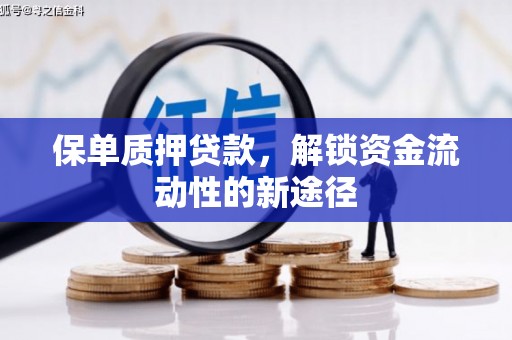 鼎城保单质押贷款，解锁资金流动性的新途径
