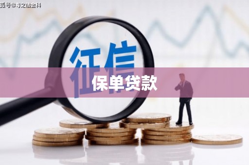 鼎城保单贷款