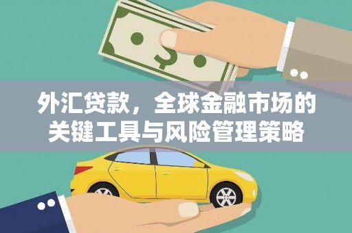 鼎城外汇贷款，全球金融市场的关键工具与风险管理策略