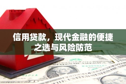 鼎城信用贷款，现代金融的便捷之选与风险防范