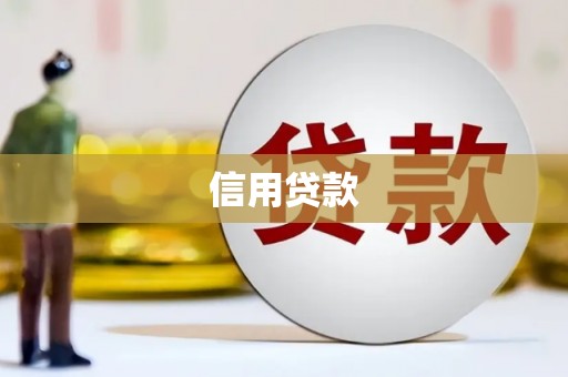 鼎城信用贷款