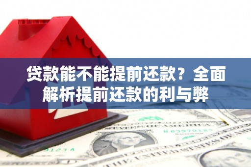 鼎城贷款能不能提前还款？全面解析提前还款的利与弊
