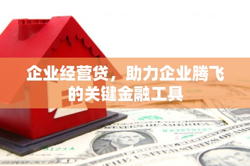 鼎城企业经营贷，助力企业腾飞的关键金融工具