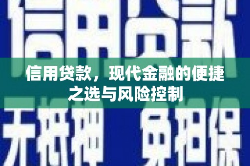 鼎城信用贷款，现代金融的便捷之选与风险控制