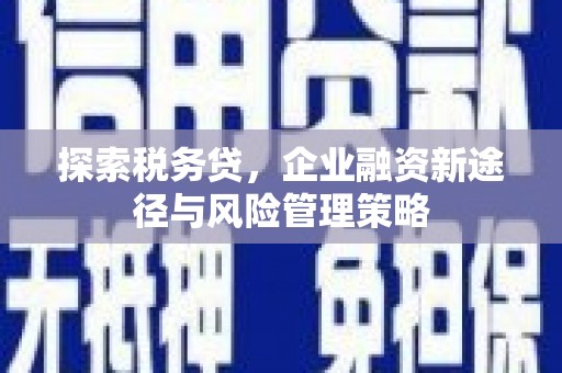 鼎城探索税务贷，企业融资新途径与风险管理策略