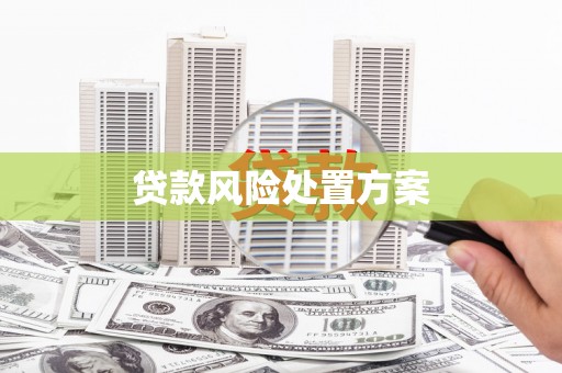 鼎城贷款风险处置方案