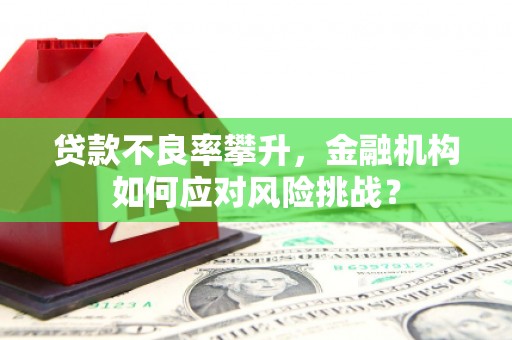 鼎城贷款不良率攀升，金融机构如何应对风险挑战？