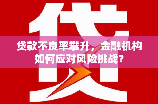 鼎城贷款不良率攀升，金融机构如何应对风险挑战？