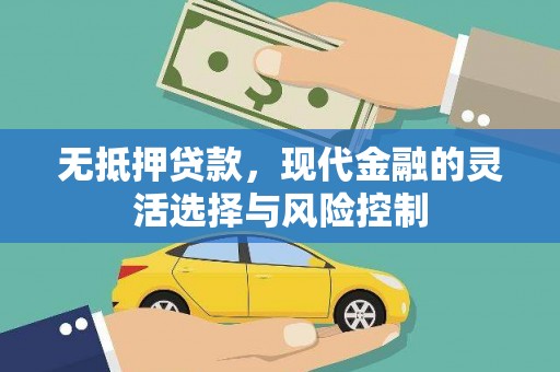 鼎城无抵押贷款，现代金融的灵活选择与风险控制