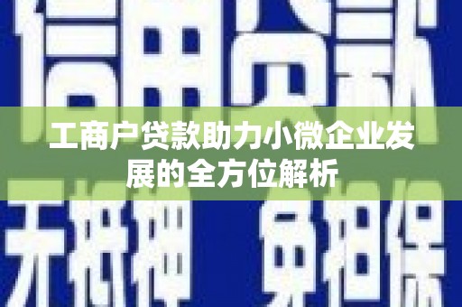鼎城工商户贷款助力小微企业发展的全方位解析