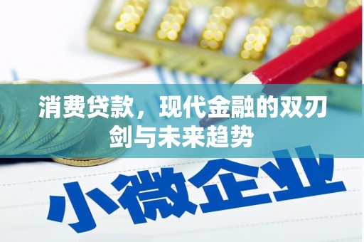 鼎城消费贷款，现代金融的双刃剑与未来趋势