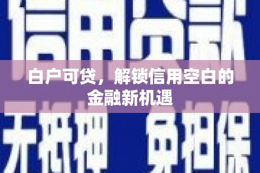 鼎城白户可贷，解锁信用空白的金融新机遇