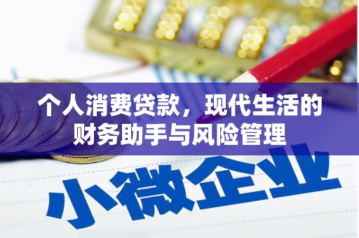 鼎城个人消费贷款，现代生活的财务助手与风险管理