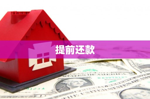 鼎城提前还款