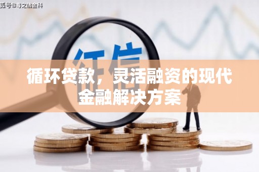 鼎城循环贷款，灵活融资的现代金融解决方案