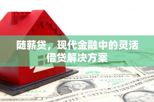 鼎城随薪贷，现代金融中的灵活借贷解决方案