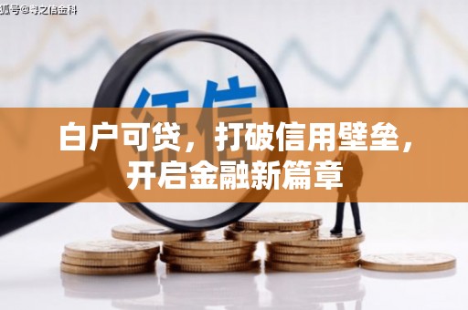 鼎城白户可贷，打破信用壁垒，开启金融新篇章