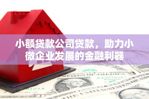 鼎城小额贷款公司贷款，助力小微企业发展的金融利器