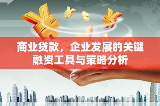 鼎城商业贷款，企业发展的关键融资工具与策略分析