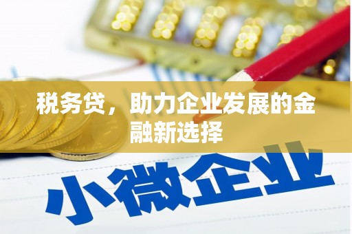 鼎城税务贷，助力企业发展的金融新选择