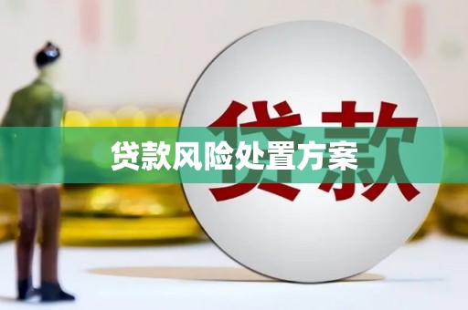 鼎城贷款风险处置方案