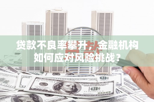 鼎城贷款不良率攀升，金融机构如何应对风险挑战？