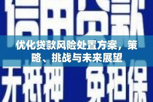 鼎城优化贷款风险处置方案，策略、挑战与未来展望