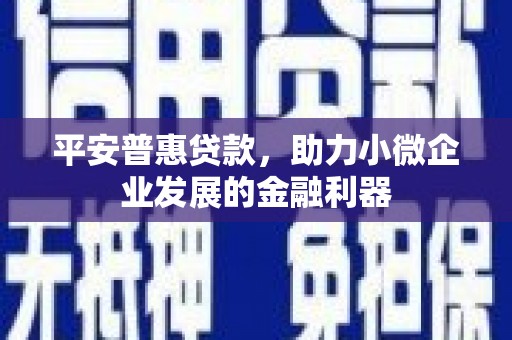 鼎城平安普惠贷款，助力小微企业发展的金融利器