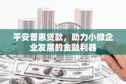鼎城平安普惠贷款，助力小微企业发展的金融利器
