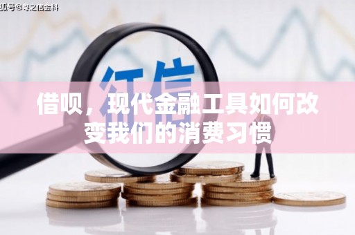 鼎城借呗，现代金融工具如何改变我们的消费习惯
