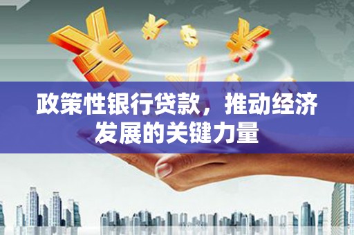 鼎城政策性银行贷款，推动经济发展的关键力量