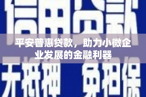 鼎城平安普惠贷款，助力小微企业发展的金融利器