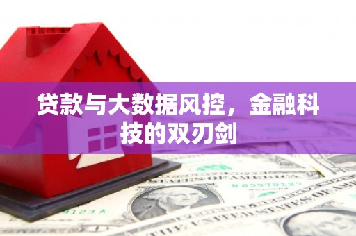 鼎城贷款与大数据风控，金融科技的双刃剑