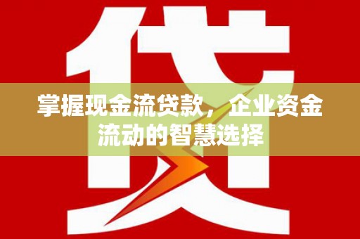 鼎城掌握现金流贷款，企业资金流动的智慧选择