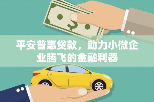 鼎城平安普惠贷款，助力小微企业腾飞的金融利器